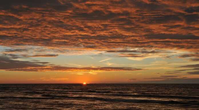 Dobre miejsce na wypoczynek – Krynica Morska Wczasy Krynica Morska