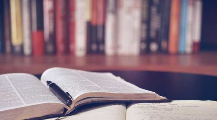 Studia podyplomowe szansą rozwoju dla kobiet Studia podyplomowe Trójmiasto