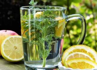 Naturalne leki na odporność – jakich ziół leczniczych użyć? Zioła lecznicze naturalne leki na odporność Labofarm