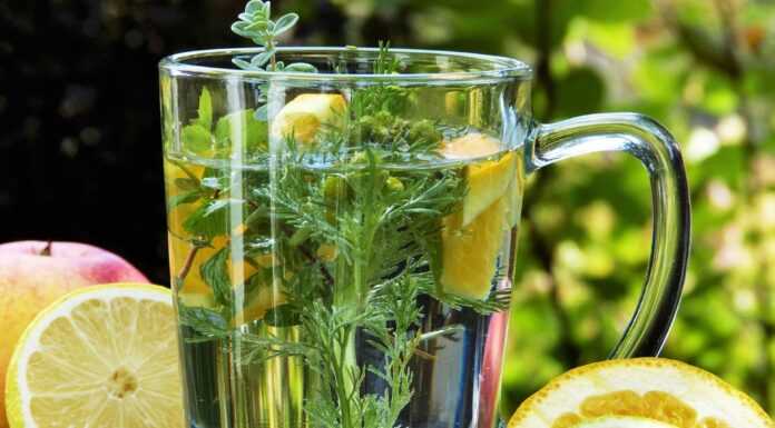 Naturalne leki na odporność – jakich ziół leczniczych użyć? Zioła lecznicze naturalne leki na odporność Labofarm