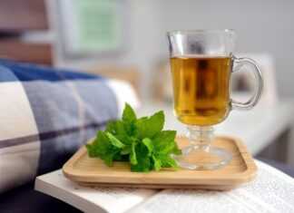 Fit&Eat- skorzystaj z najlepszego cateringu dietetycznego Mięta naturalne zioła lecznicze Labofarm