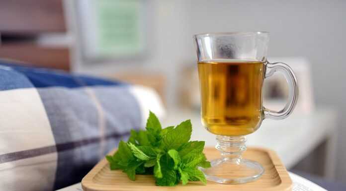 Fit&Eat- skorzystaj z najlepszego cateringu dietetycznego Mięta naturalne zioła lecznicze Labofarm