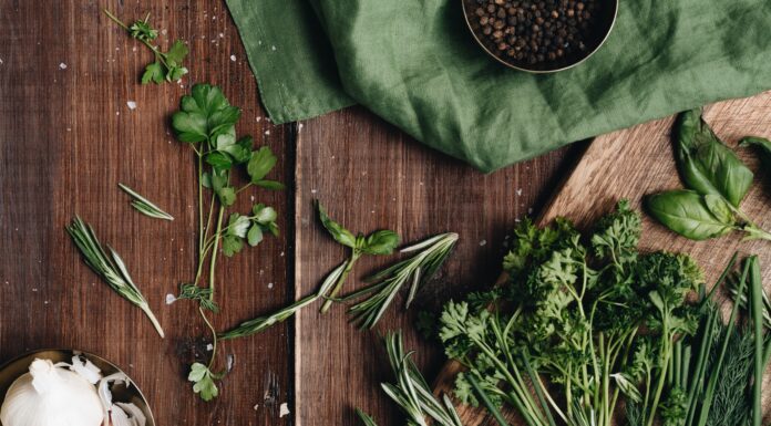 Jakie zioła warto pić każdego dnia?